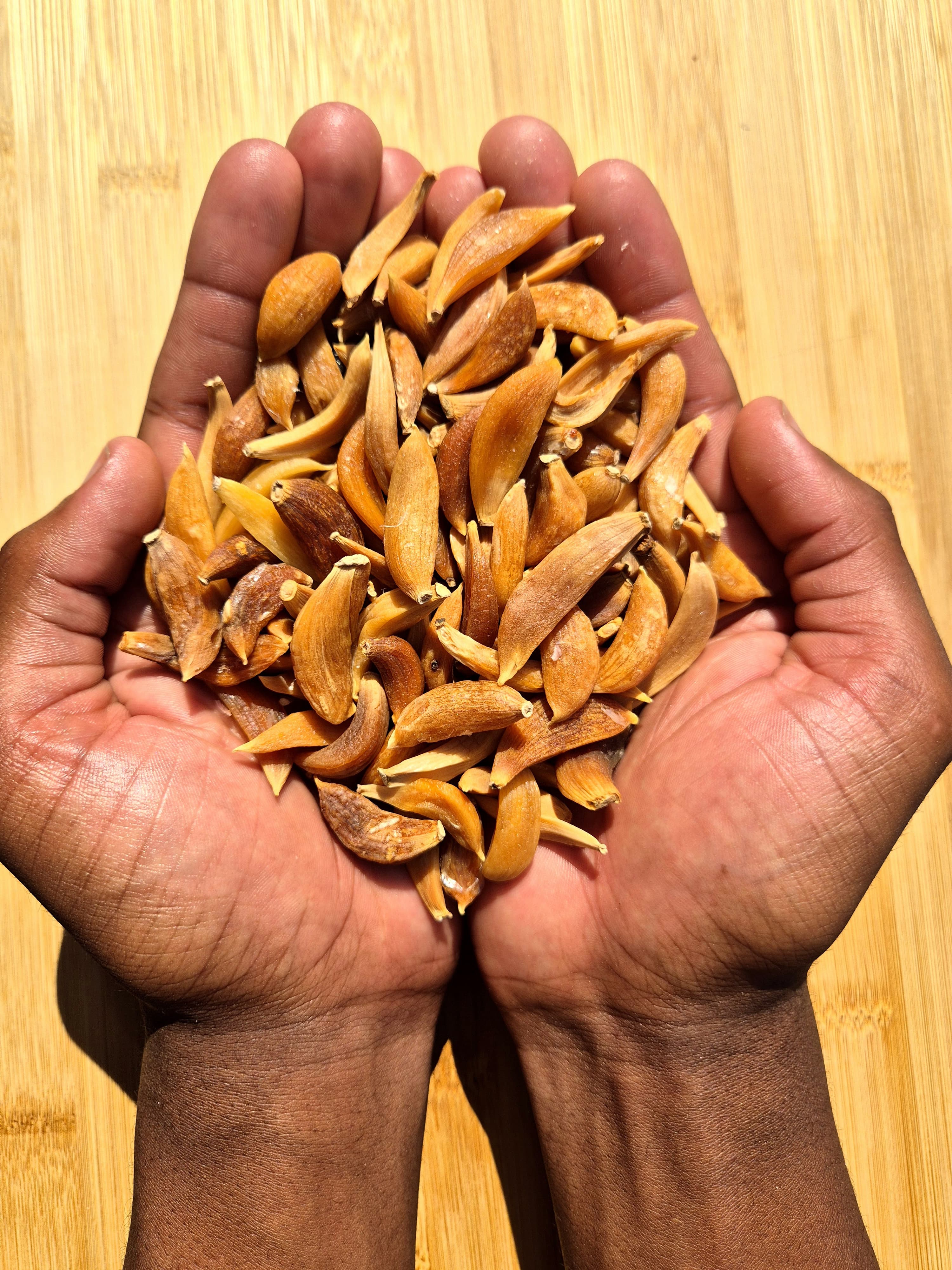 Nahy Spices founder selecting spices
